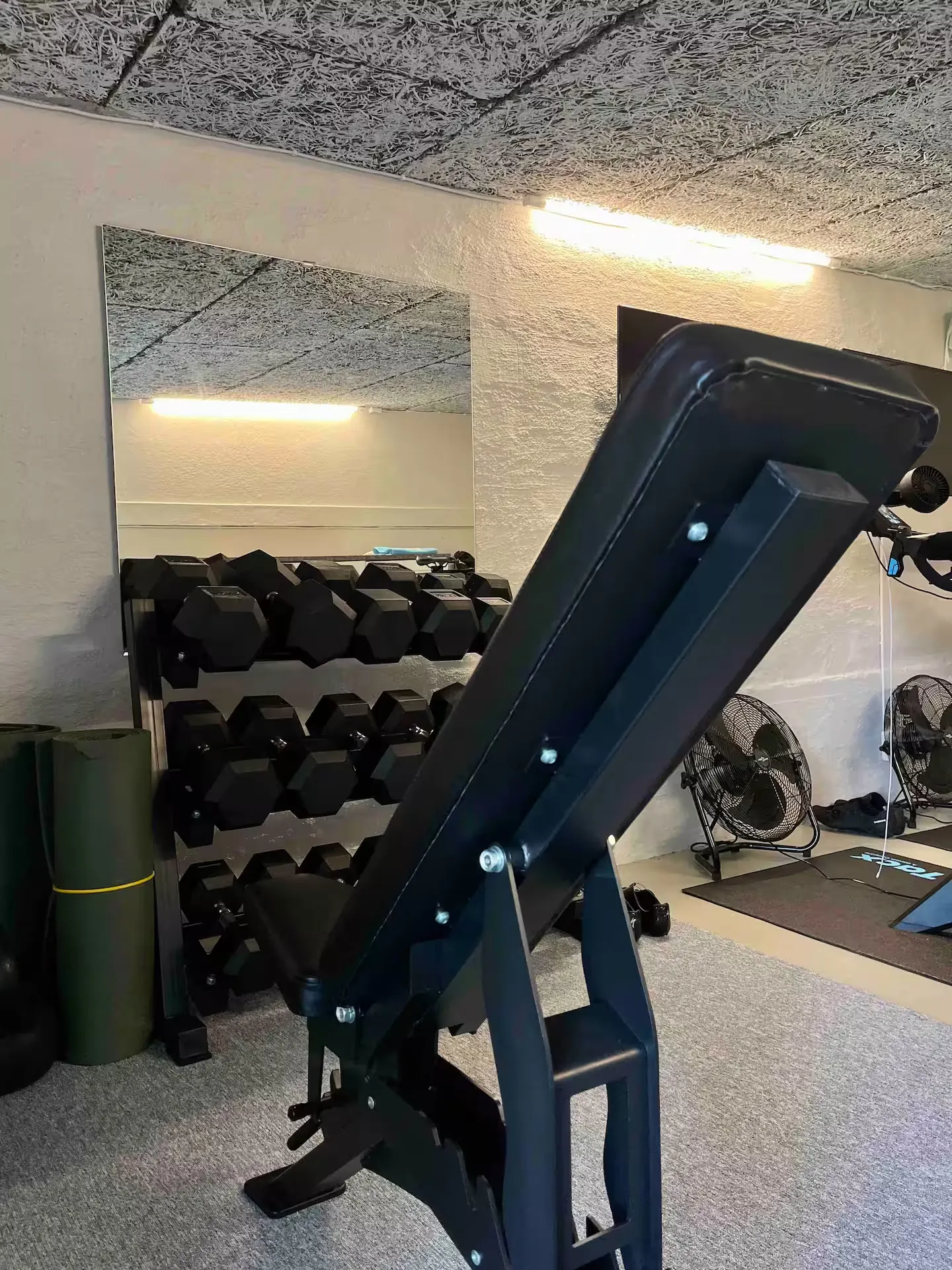 Træningsbænk og vægte i fitnessrummet