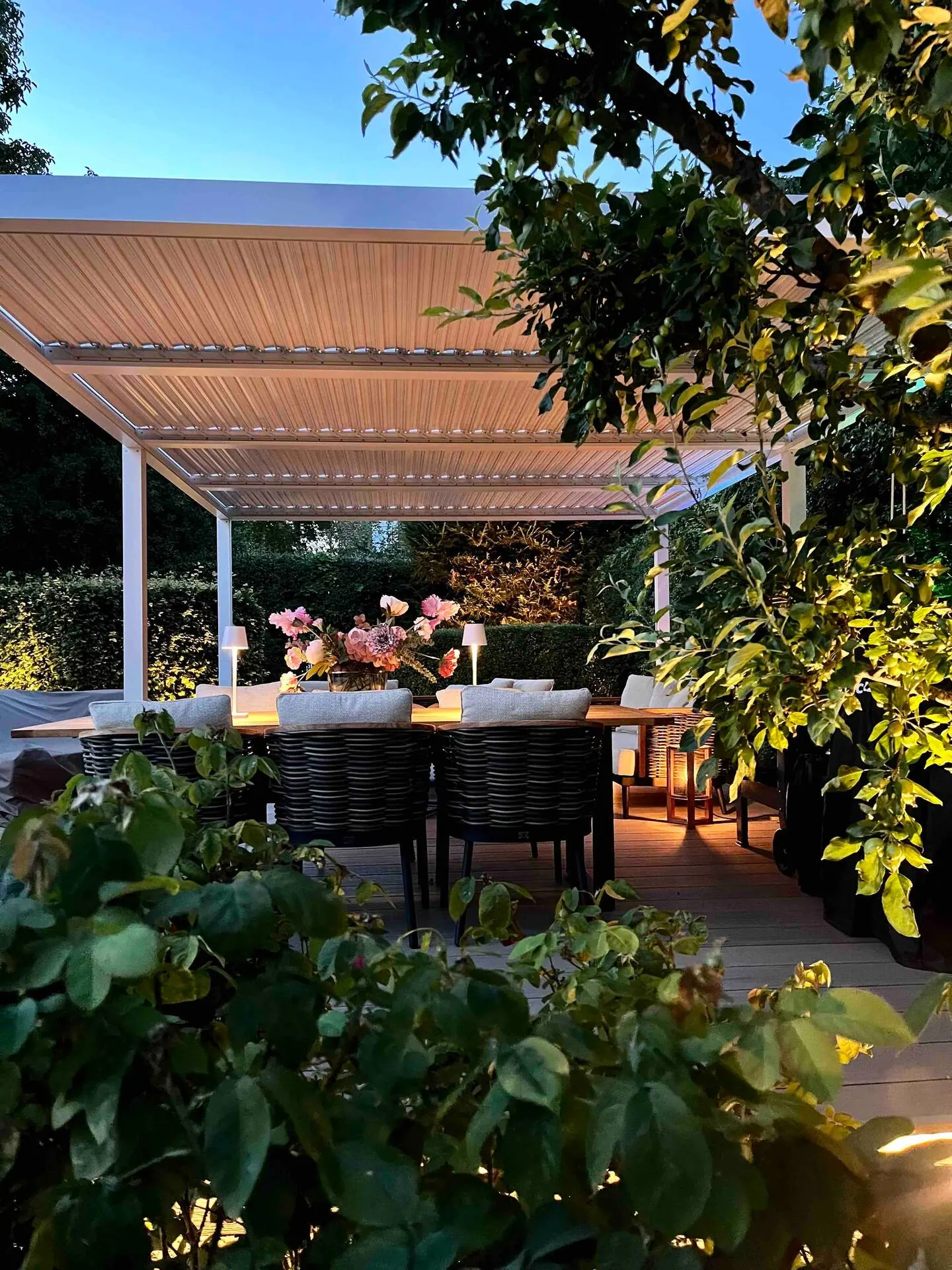 Terrassen set gennem havens grønne planter